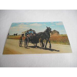 Vintage Postcard Amish buggy Girls Lancaster Pennsylvania Dutch Amish country
